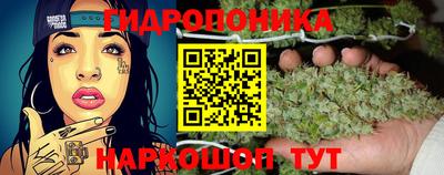 индика Котовск