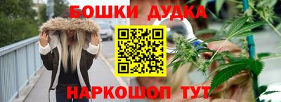 индика Котовск