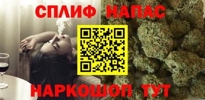 индика Котовск